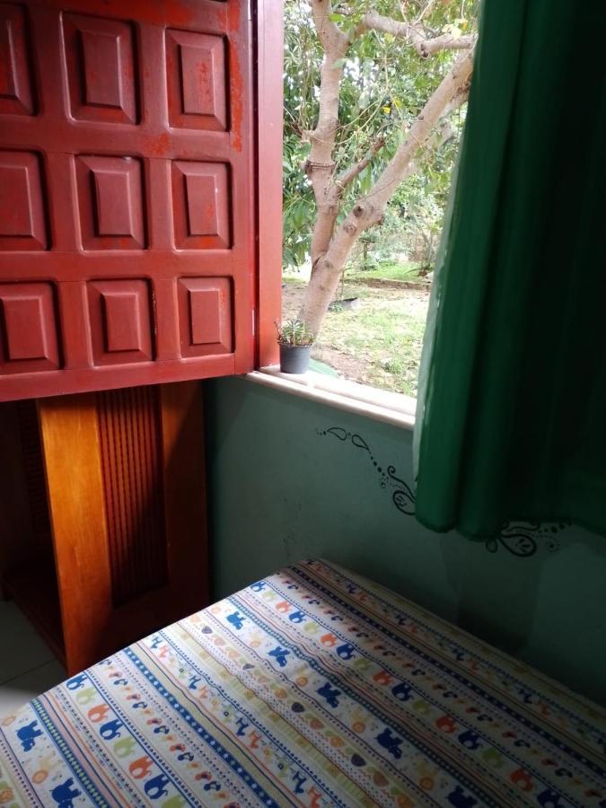 Caju Hostel Alter do Chão Eksteriør bilde